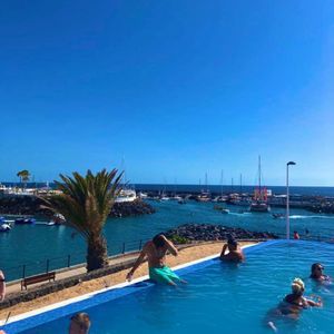 Meet your Posher, Leo